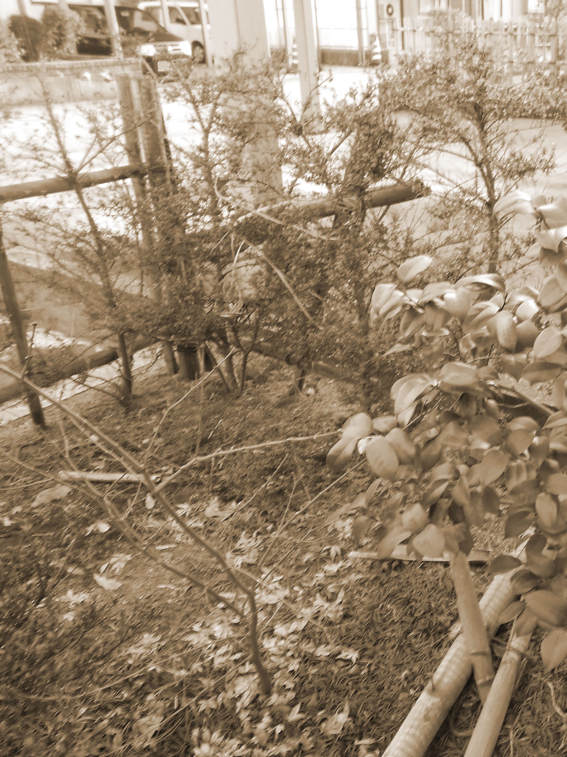 リフォーム事例(before)